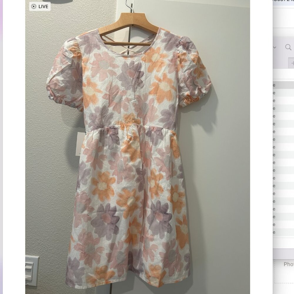 Aritzia Sunday Best saida dress Puff-sleeve babydoll dress - Picture 6 of 8